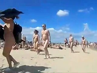 Diversão de praia nua com um puma novato